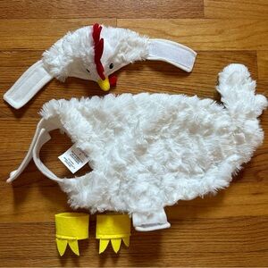 Chicken costume 🐓 for dog 🐶